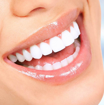 Dentist in Etobicoke, Ontario